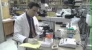 Sperm Count Decline