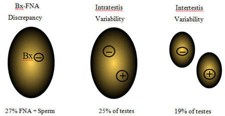 patchiness-sperm-mapping
